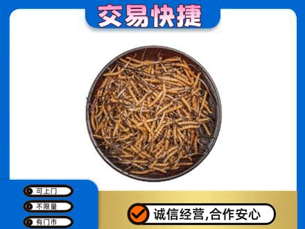 郑州登封市回收散虫草